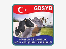 GİRESUN DSYB