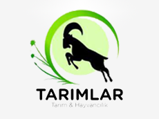 TARIMLAR TARIM